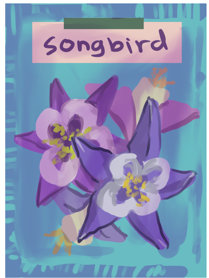 songbird seed